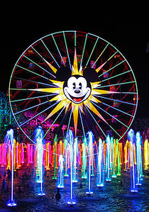 Disneyland Vacation Rental